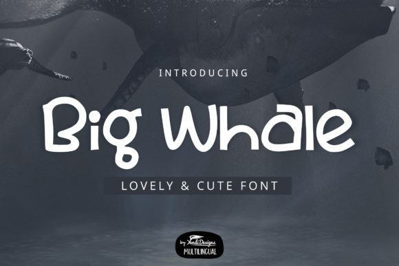 Big Whale: A Charming Display Font for Creative Branding