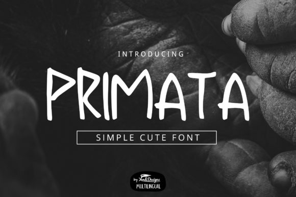 Primata: The Perfect Font for a Charming Brand Update