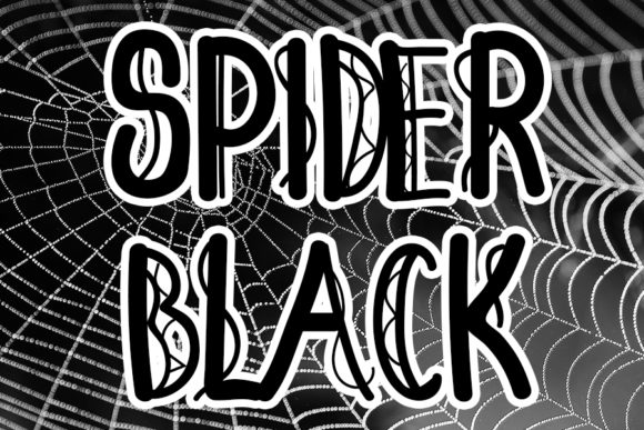 Spider Black: A Bold and Authentic Display Typeface